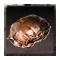 Schlammkrabbenchitin Schlammkrabbenchitin