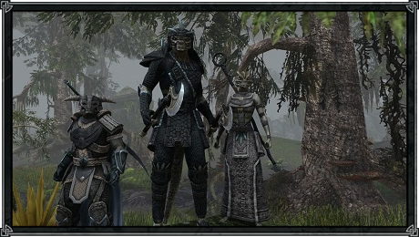 elderscrollsonline/gameplay/505.png