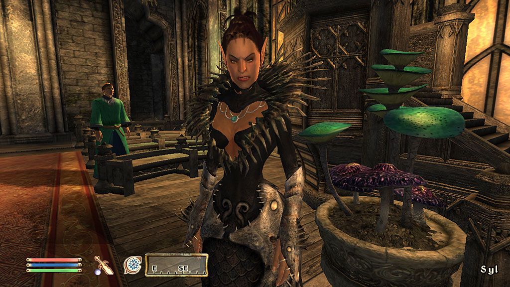 Shivering Isles 11