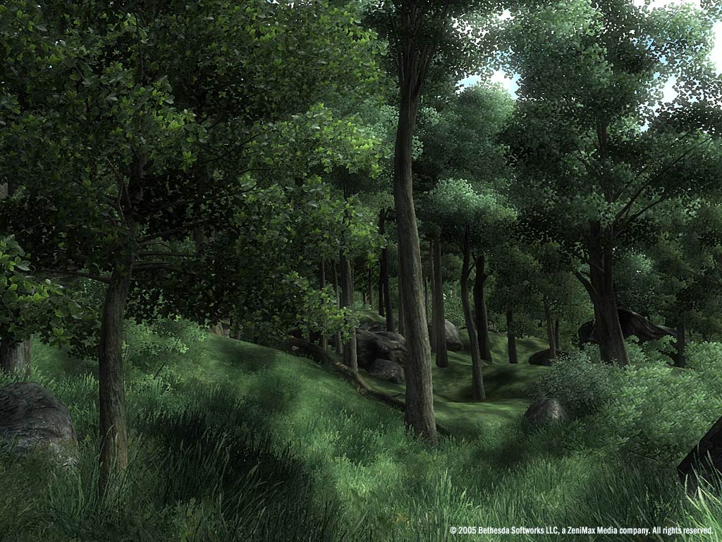 Wald in Cyrodiil
