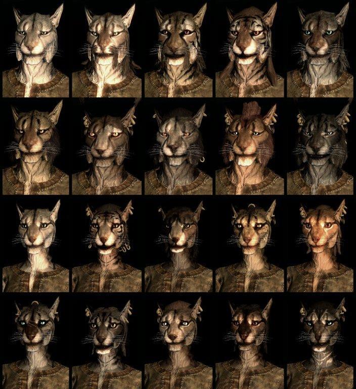 Khajiit Presets
