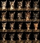 Khajiit Presets