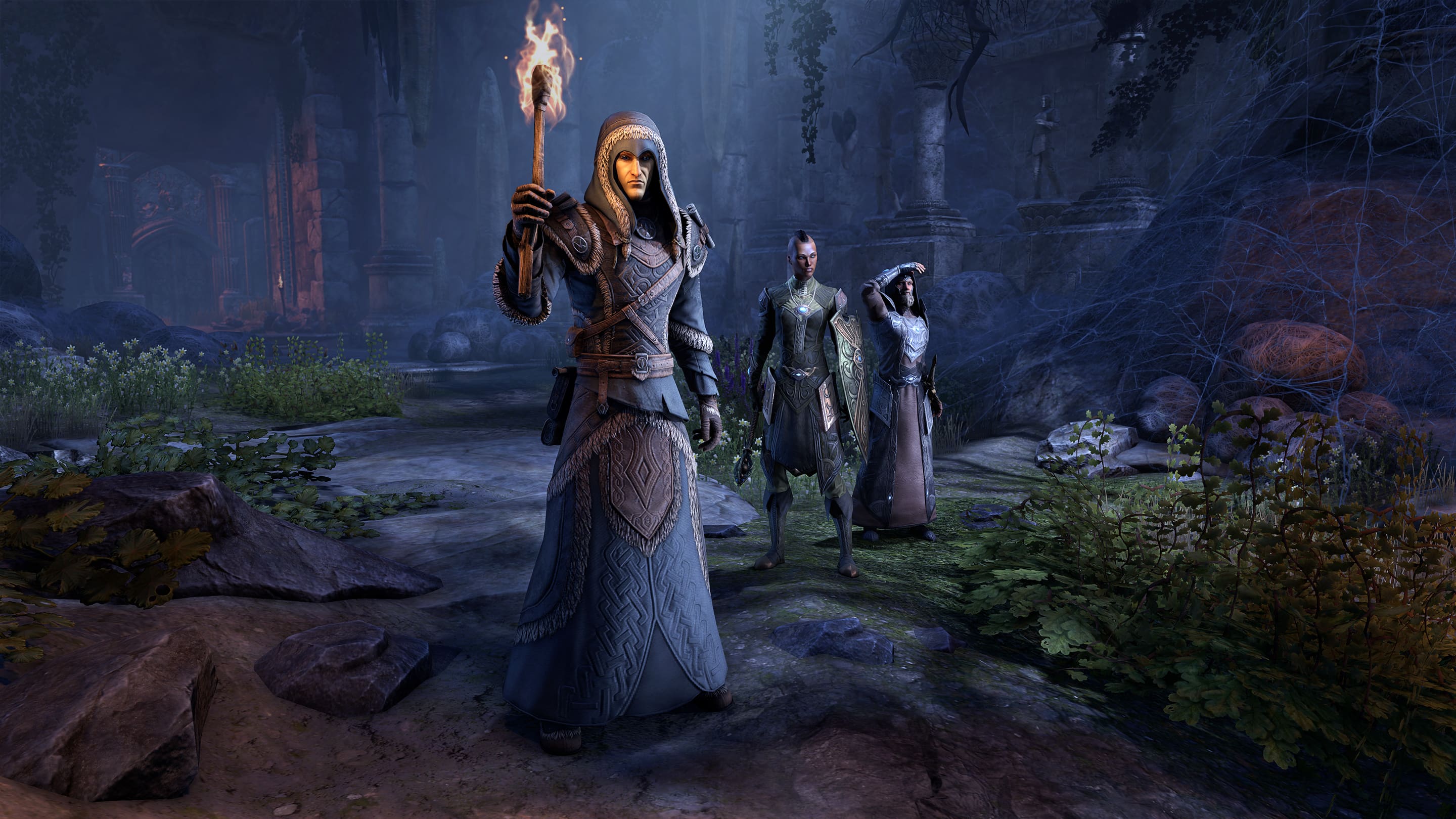 Гиллель. The Elder Scrolls Саммерсет. TESO Наряды мага.