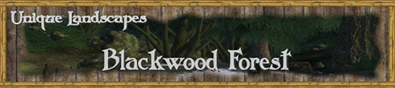 https://www.worldofelderscrolls.de/oblivion/dlscreens/ul/SuzieQBanner/ulbannerteil20blackwood.jpg