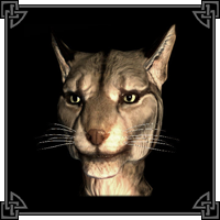 Khajiit