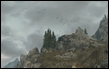 skyrim/pl/quests/birds_flocks/thumb-2.jpg